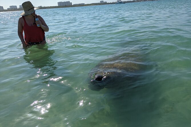 Private Boat Day Tour In Sarasota