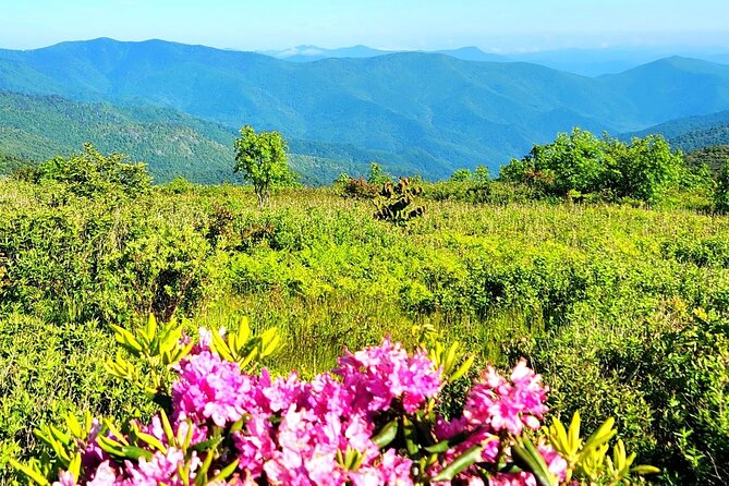Private Child-Focused Blue Ridge Mountains Tour