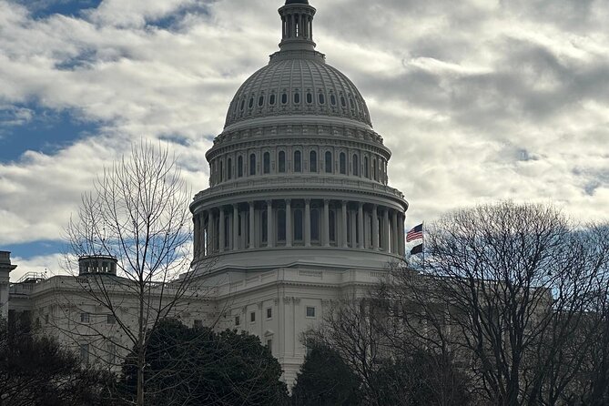 Private DC Tours in Luxury SUV
