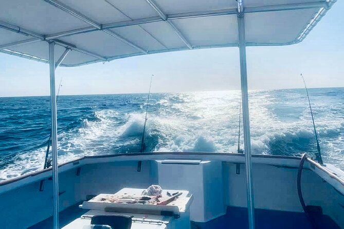 Private Dolphin Cruise in Panama City Beach