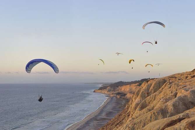 Private Full Day Coastal Tour From San Diego With Private Driver/Guide