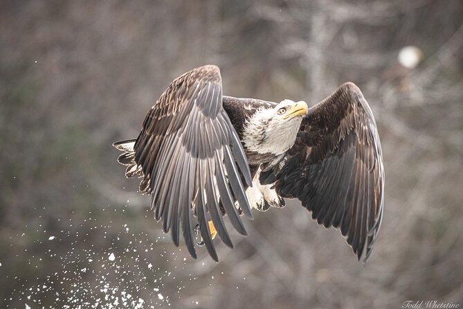 Private Full Day Photography Workshop of Fairbanks