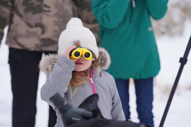 Private Grand Teton Winter Wildlife Safari With Picnic Lunch