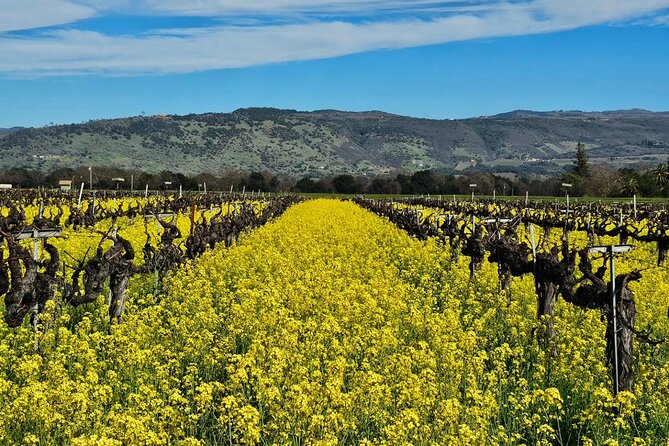 Private Group Wine Tour of Napa Valley
