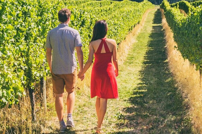 Private Group Wine Tours in Napa Valley