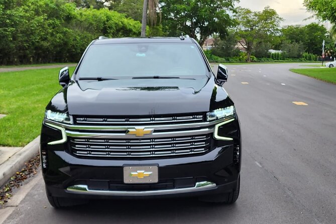 Private Port Canaveral Transfer to and From Orlando Intl Airport