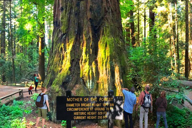 Private Redwoods Tour & Beach Horseback Riding Experience From San Francisco - Pricing and Booking Information