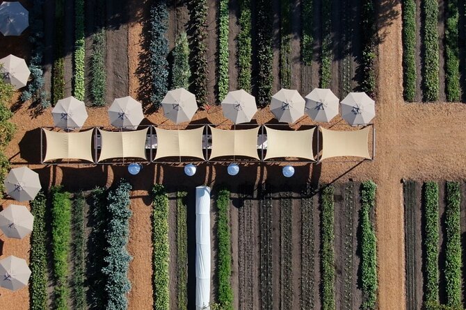 Private Sonoma Wine Tour up to 6 Guests