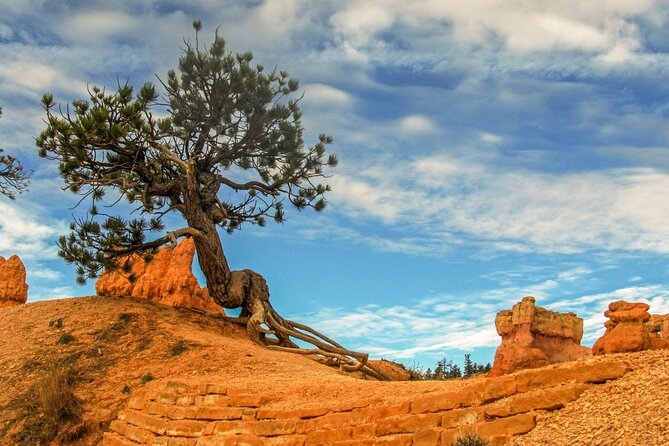 Private Tour Colorado Plateau From Sedona
