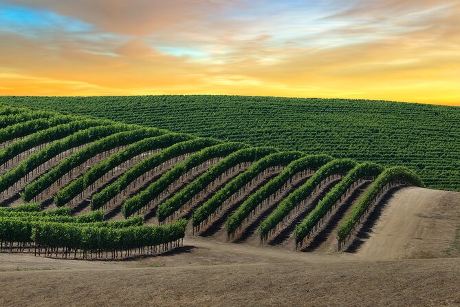 Private Tour Napa and Sonoma Valley Wine