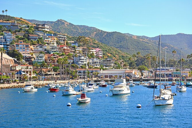 Private Tour of Avalon From Catalina Island