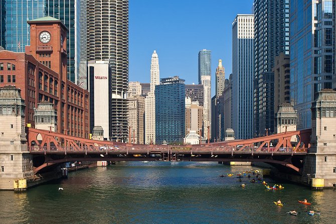 Private Transfer: Midway Airport MDW to Chicago by Luxury SUV - Vehicle Options for Your Comfort