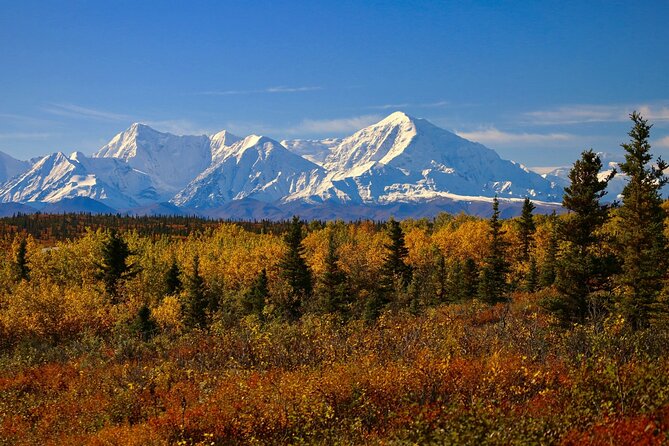 Private Transportation Between Fairbanks and Denali National Park
