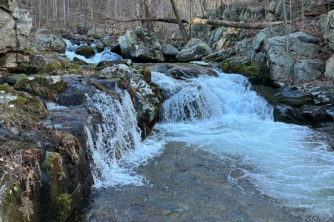 Private Trout Fishing Excursion in Virginia - Overview of the Private Trout Fishing Experience