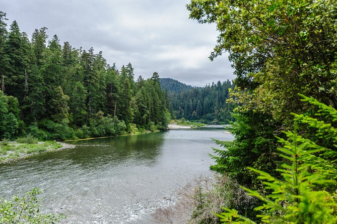 Redwood National and State Parks Self-Guided Audio Driving Tour