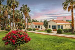 Sandy Beach Hotel & Resort - Overview and Location