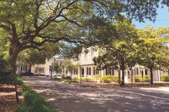 Savannah’s Enchanted Stroll: A Journey Through Time