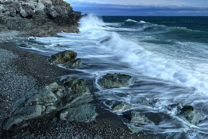Scenic Coast and Wildlife Tour