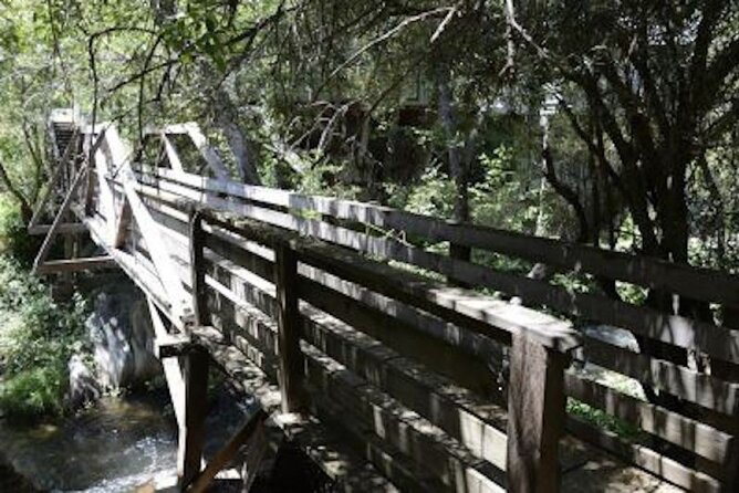 Self-Guided Calaveras Scavenger Hunt: UnFROGettable Angels Camp