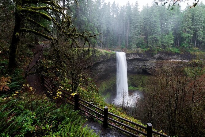 Silver Falls Private Hike Tour - Tour Overview