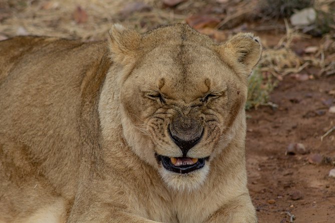 Tanzania Safari 1- Day – ARUSHA NATIONAL PARK VISIT