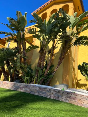 The Aqua Pacific Hotel - Hotel Overview and Location
