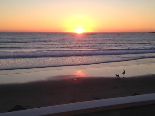 The Oceanfront Hotel on MiramarBeach HMB - Hotel Overview and Location