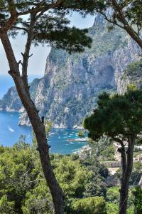 Villa Lia Hotel Capri - Hotel Overview