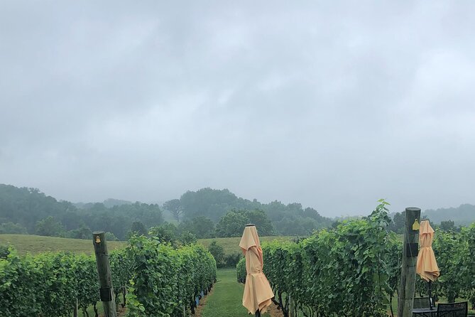 Virginia Winery Excursion by Luxury Vehicle Three Wineries