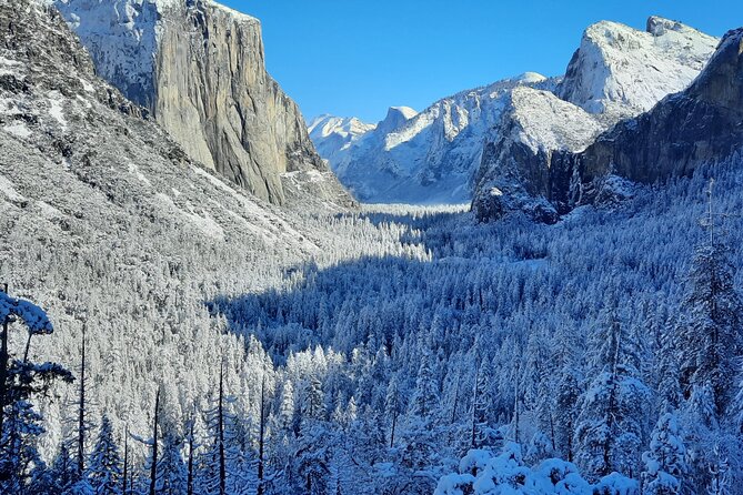 Yosemite National Park Day Tour With Optional Alcatraz