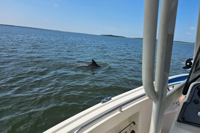 1 Hour Private Dolphin and Nature Tour - Whats Included in the Tour