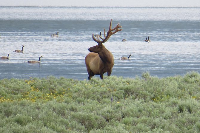 2-Day Private Tour of Yellowstone National Park Lower & Upper Loops - Meeting and Pickup