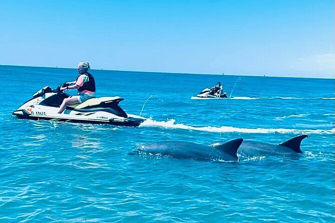2 Hour Shell Island Jet Ski Dolphin Tour - Meeting and Pickup