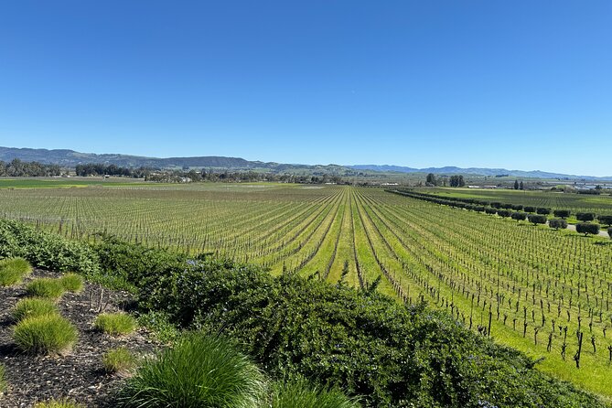 6 Hour Custom Napa or Sonoma Private Wine Tour - Meeting and Pickup Information