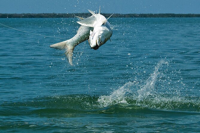 6 Hour Family Friendly Fishing Charter in Sarasota, Siesta Key - Pricing and Group Size