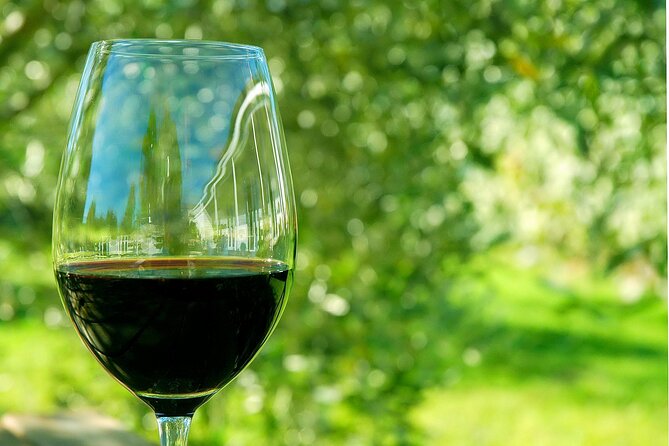 6 Hour Variety Wine Vineyard Tour in Napa Valley - Transportation and Logistics