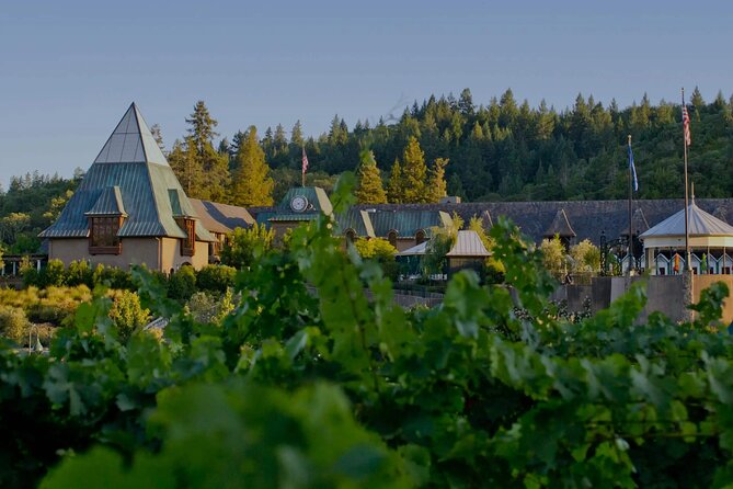 6 Hours Private Wine Tour in Healdsburg Featuring Coppola Winery - Inclusions