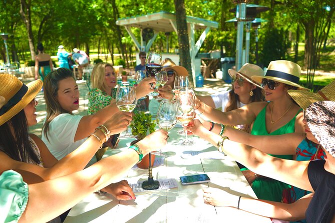 6 to 11 Guests Fredericksburg Private Van 5 Hour Wine Tour - Luxurious Private Van Service