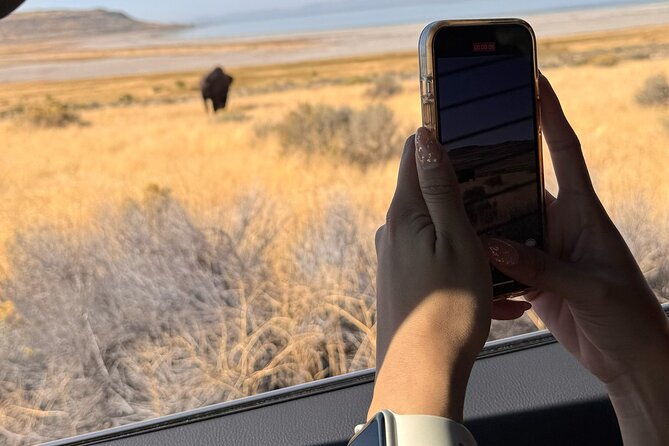 Antelope Island & Great Salt Lake Tour - Pricing and Group Size