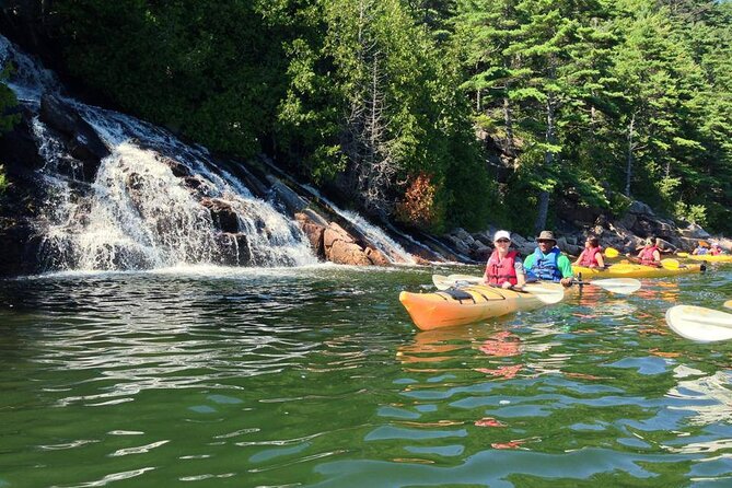 Aqua Safari Kayak Tour Departing Southwest Harbor - What to Expect on the Tour