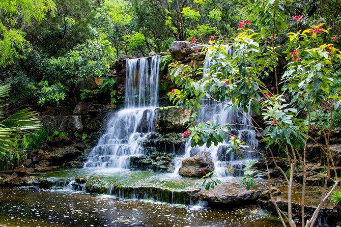 Austin's Enchanting Walking Tour of European Explorer's Dream - Meeting and Pickup Details