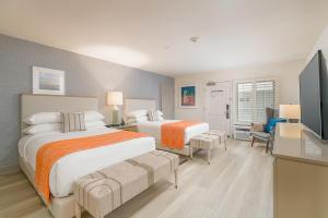 Beach Terrace - Room Types