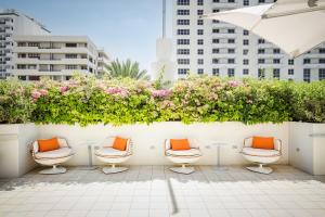 Berkeley Shore Hotel - Accommodations and Amenities