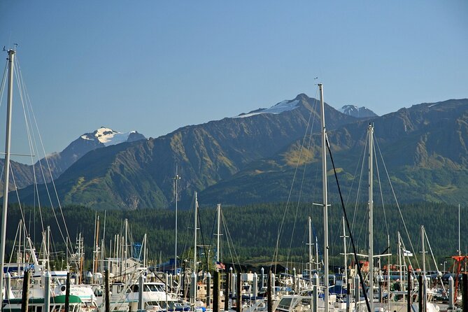 Best of Seward Alaska Full Day Tour - Meeting and Pickup Information