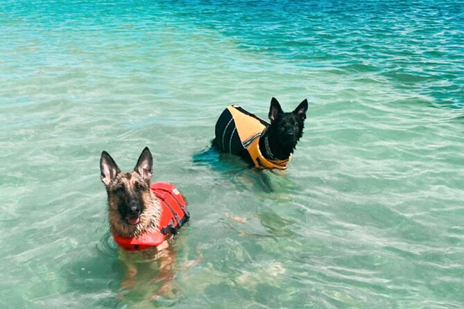 Boat Rentals to Shell Key, Treasure Island and St. Pete Beach - Operating Hours and Availability
