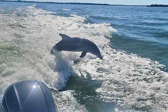 Cayo Costa Private Power Boat Experience - Meeting and Pickup Details