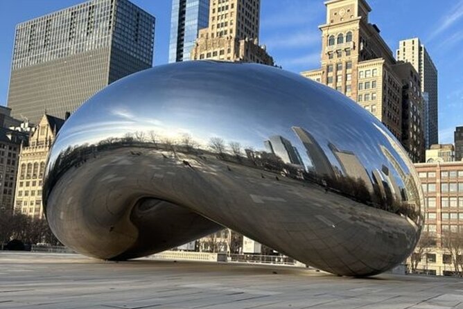 Chicago Highlights Private Walking Tour With a Guide - Inclusions and Exclusions
