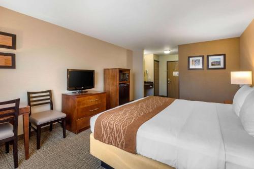Comfort Inn & Suites Murrieta Temecula Wine Country Review