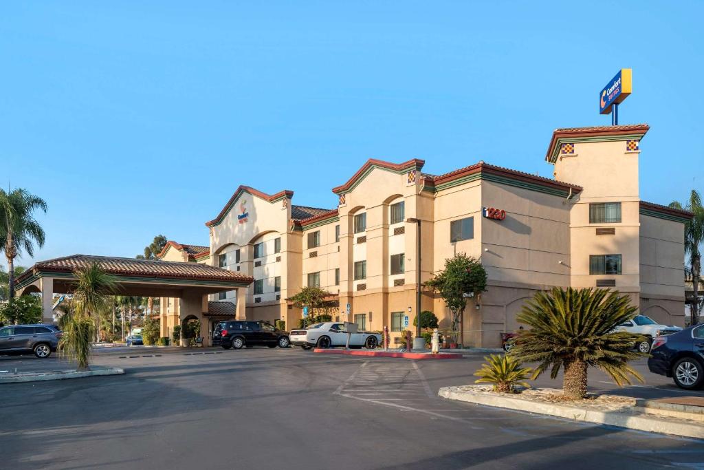Comfort Suites Review