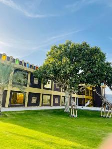 Daraysh Hotel - Accommodation Details